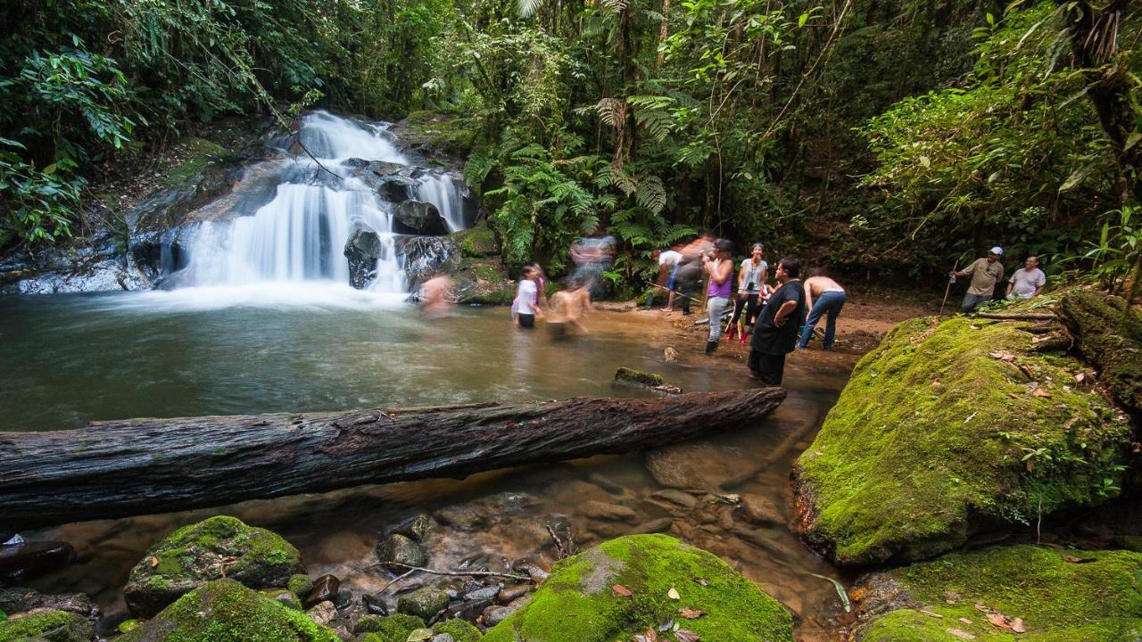 Pousada Salve Floresta Tapiraí Exterior foto
