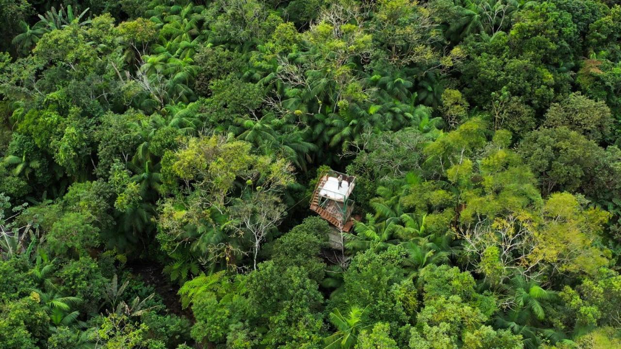 Pousada Salve Floresta Tapiraí Exterior foto