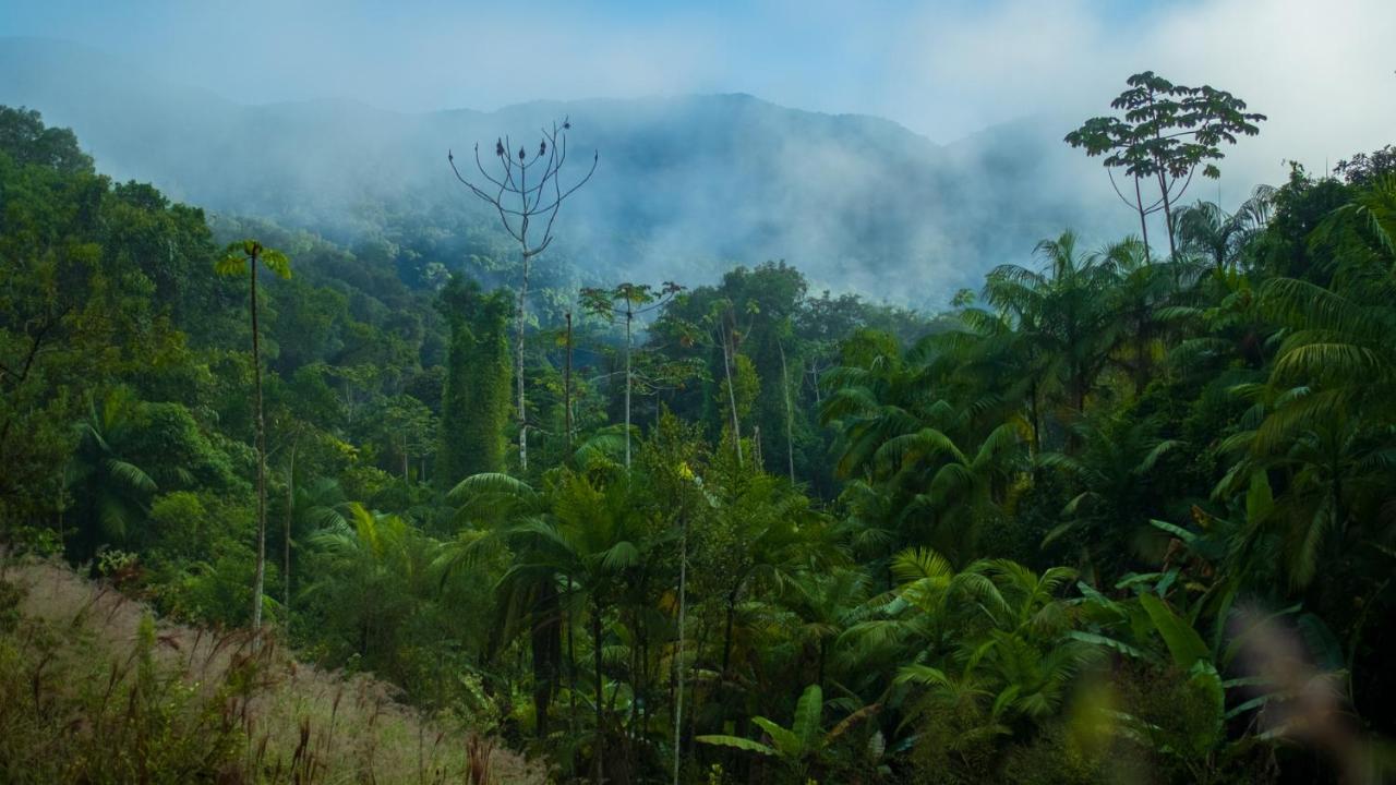 Pousada Salve Floresta Tapiraí Exterior foto